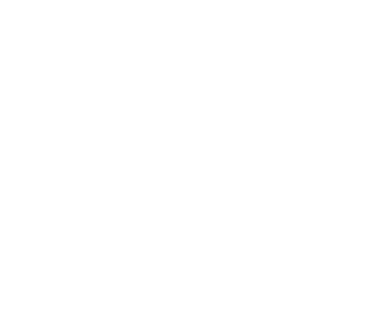 Pakistan Software Export Board